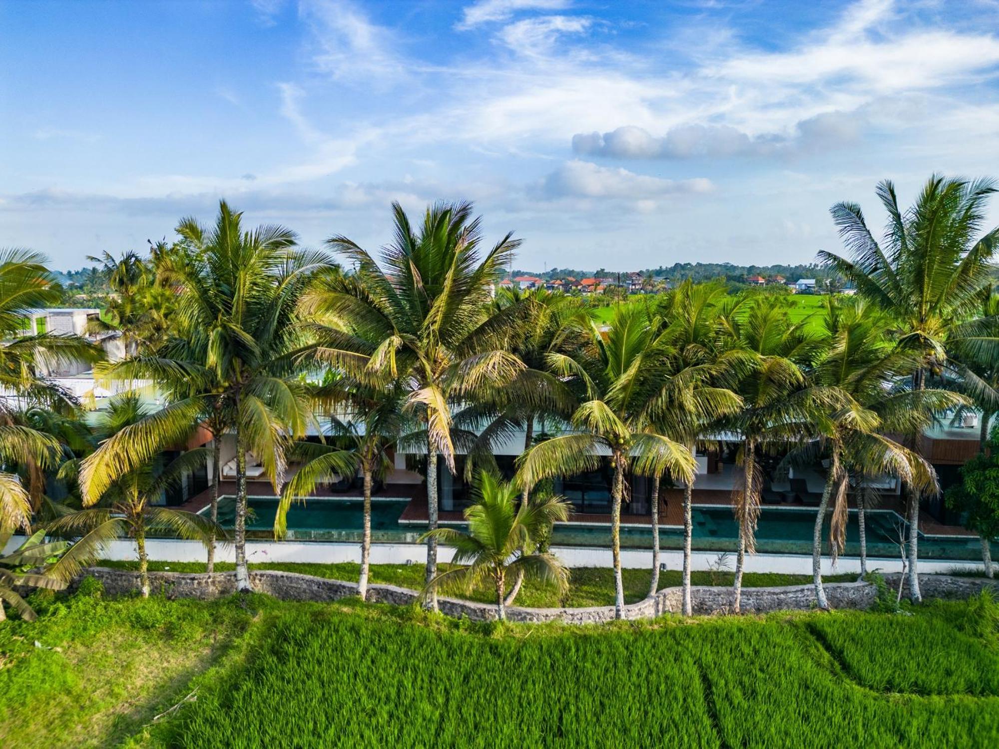 Green Flow Ubud Villa 20 Zewnętrze zdjęcie